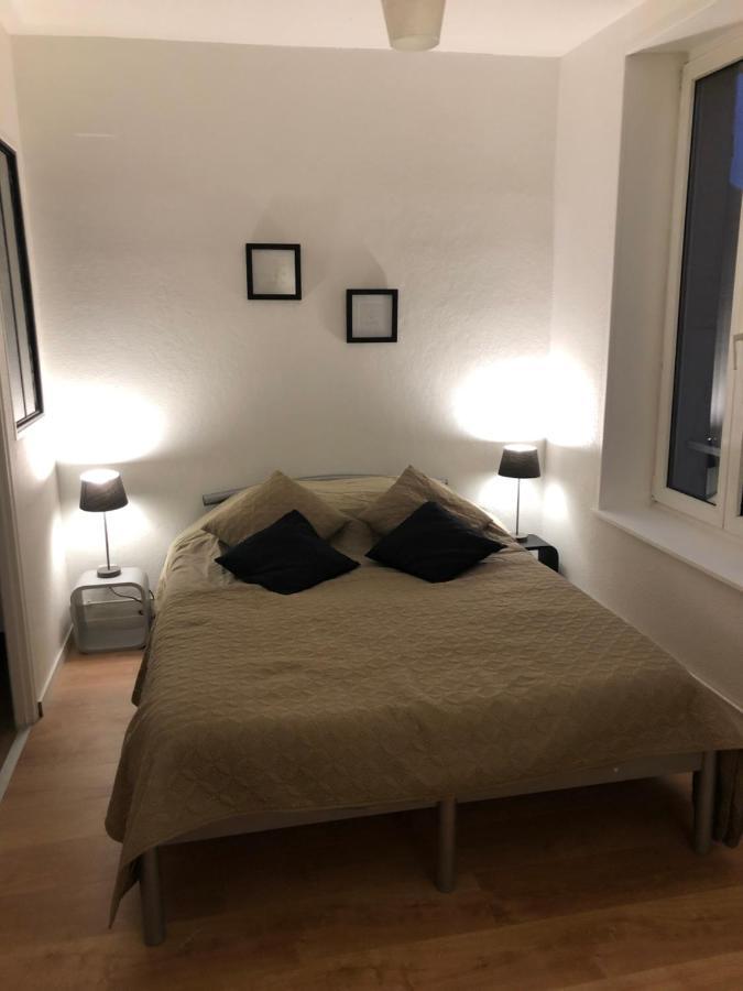 Chez Muriel,T2 De Charme, Parc Ste Marie, Nancy Thermal, Mon Desert المظهر الخارجي الصورة